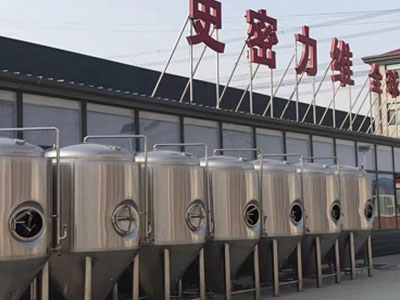 海晏精酿啤酒设备厂—市场规模与跨界新需求
